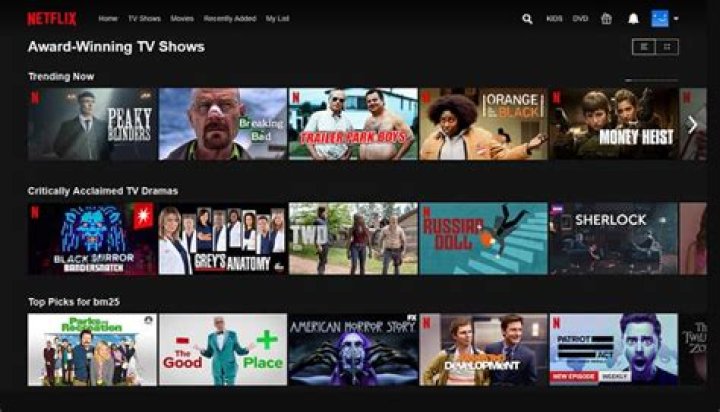 Cinezone vs. Netflix: Which Movie Streaming Service Wins in 2024?