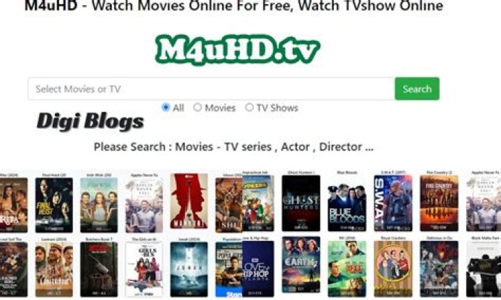 M4uHD Tips: Enhancing Your Movie Streaming Experience with Subtitles and Audio Options